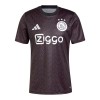 Camiseta Ajax Pre-Match 2024-25